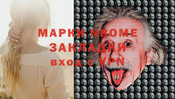 apvp Алексин
