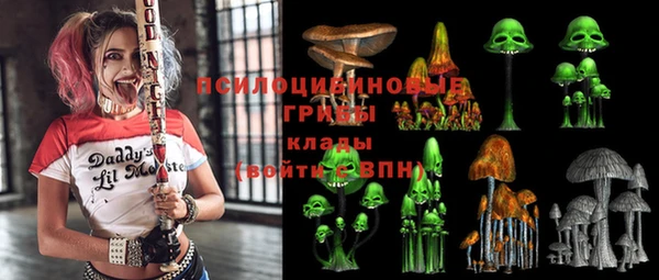 амф Приозерск