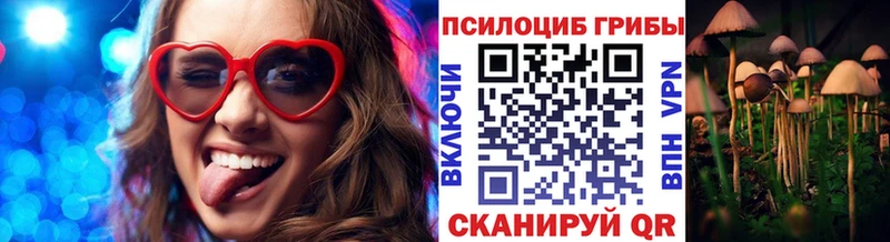 Галлюциногенные грибы мицелий  Шумиха 